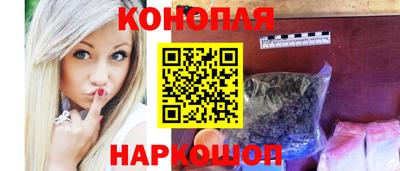 гидра Шахты