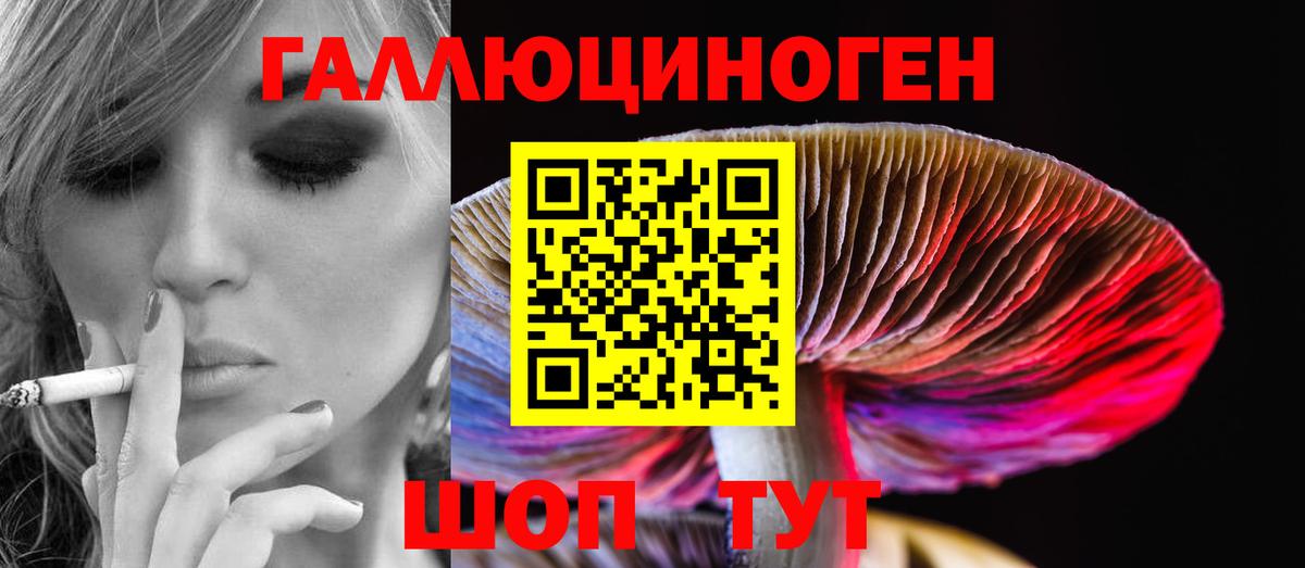 Галлюциногенные грибы ЛСД  Галлюциногенные грибы Magic Shrooms  Гусиноозёрск  где купить наркоту  Вход с VPN 